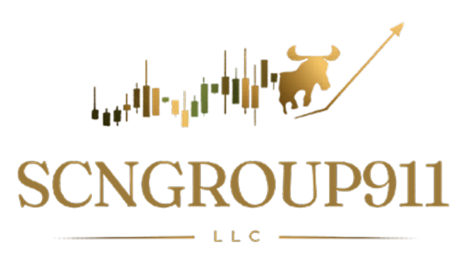 SCNGROUP911 LLC